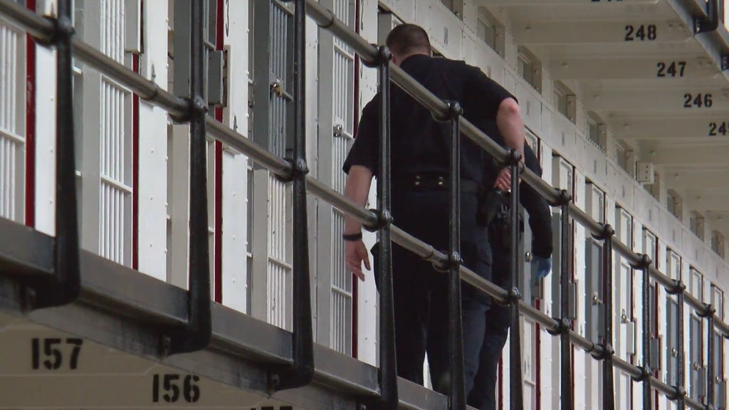 More than two dozen Georgia prisons on lockdown over security concerns following inmate fight — Decatur Health news